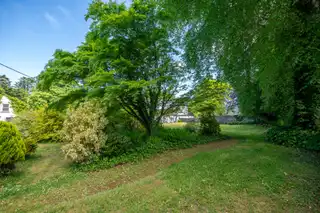 Image 37