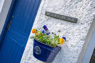 Image 30