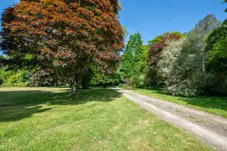 Image 15