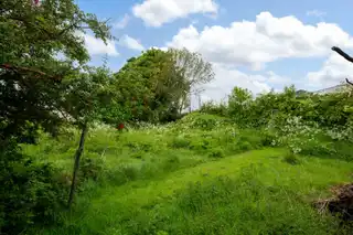 KilleaImage 28