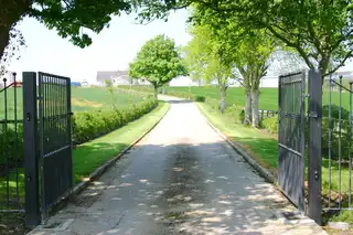 121 Clonmore RoadImage 18