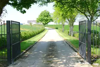 121 Clonmore RoadImage 7