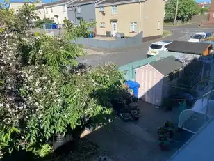 81 Newry StreetImage 12