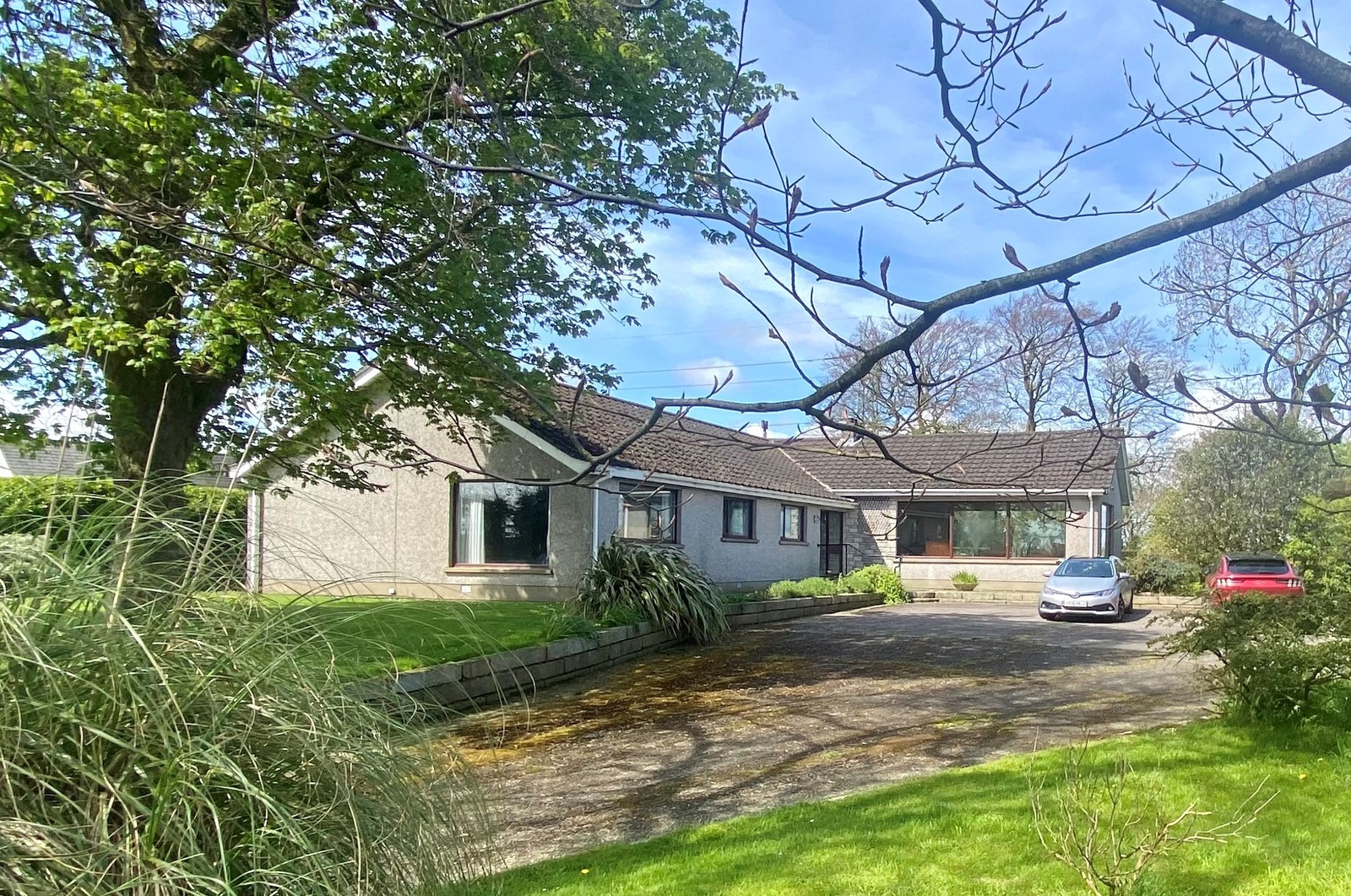 (Page 4) Properties for Sale in Carryduff