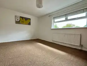 27 Deramore DriveImage 14