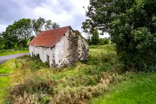 Conversion Site, 60 Meters West OfImage 7