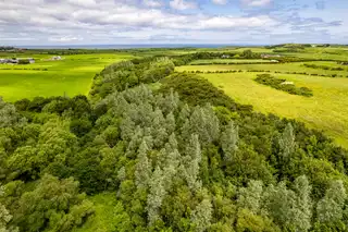 Woodland At 26 Leeke RoadImage 11