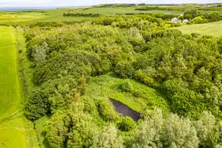 Woodland At 26 Leeke RoadImage 5