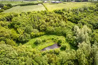 Woodland At 26 Leeke RoadImage 4
