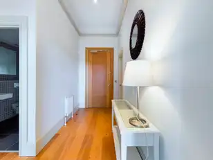 311 Ormeau RoadImage 3