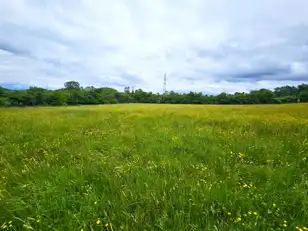 18A Sheepwalk RoadImage 30