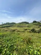 66 Gobbins RoadImage 9