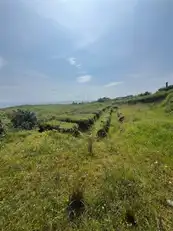 66 Gobbins RoadImage 8