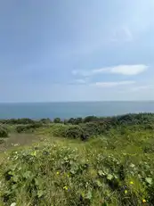 66 Gobbins RoadImage 2