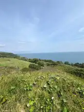 66 Gobbins RoadImage 4