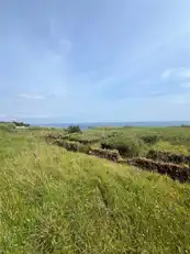 66 Gobbins RoadImage 5