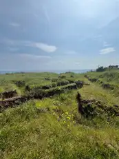 66 Gobbins RoadImage 6