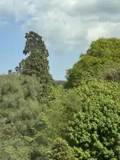 43 LacefieldImage 11