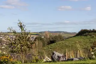 33 FerndeneImage 35