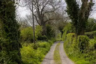 23 Comber RoadImage 15