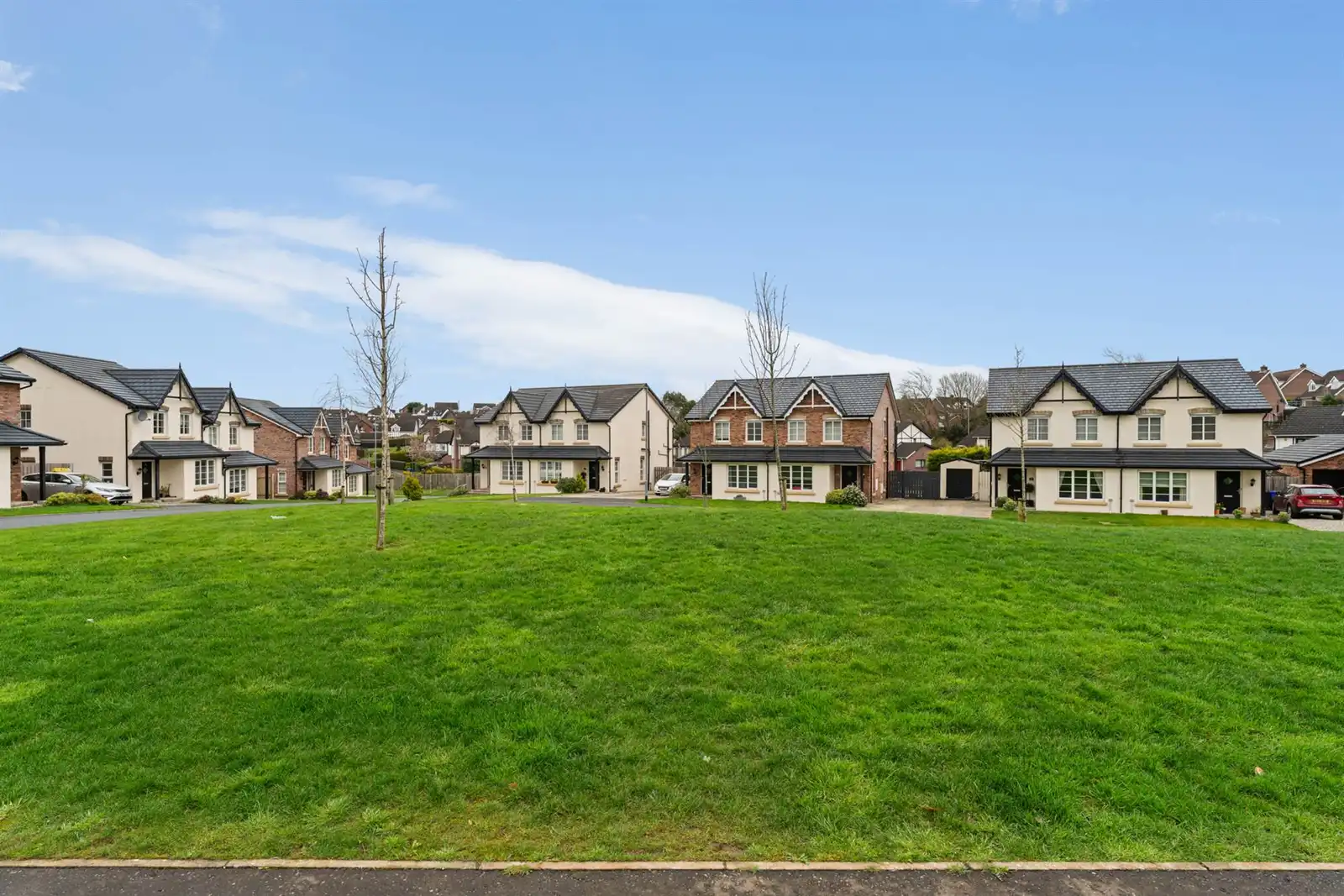 20 Lily Wood Lane, Newtownards, County Down