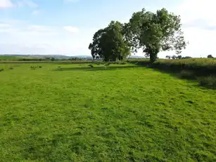 Vine RoadImage 9