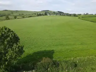 Vine RoadImage 3