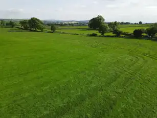 Vine RoadImage 6