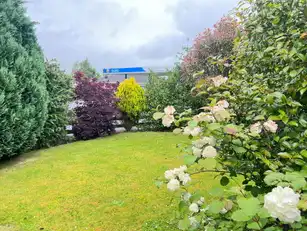 24 Wilton GroveImage 15