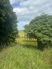 13 Demoan RoadImage 5