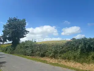 13 Demoan RoadImage 6