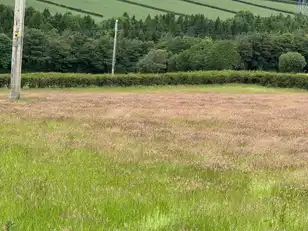Image 1 for Tamnaherin Road