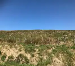 Glenelly RoadImage 4