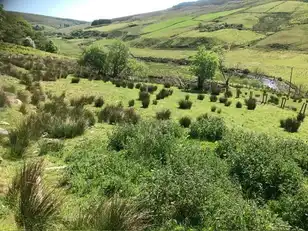 Glenelly RoadImage 6