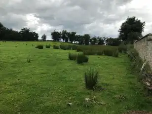 Main StreetImage 4