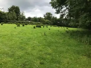 Main StreetImage 8