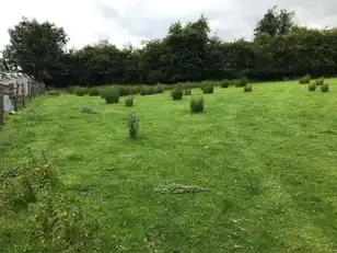 Main StreetImage 5