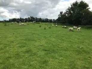 Main StreetImage 11