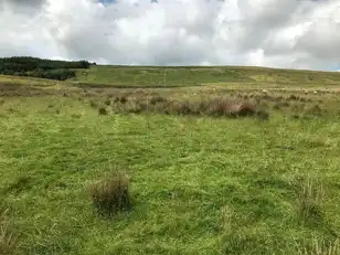 Old Cushendun RoadImage 6