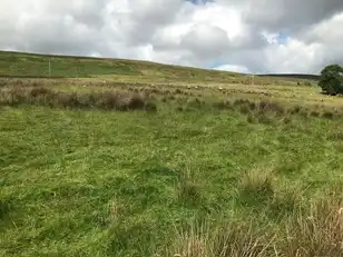 Old Cushendun RoadImage 4
