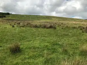 Old Cushendun RoadImage 5