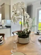 14 Beech Hill ViewImage 23