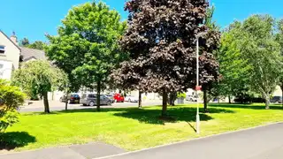1 Cloonavin GreenImage 27