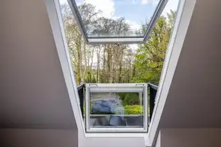 1 Crawfordsburn WoodImage 58