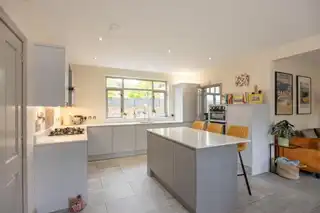 35B Chimera WoodImage 18