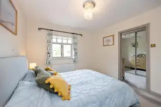 35B Chimera WoodImage 30