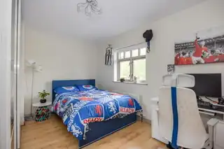 35B Chimera WoodImage 39