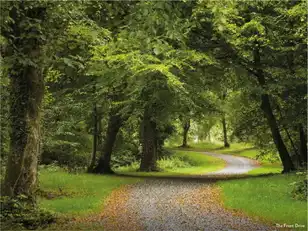 Mourne Park EstateImage 2