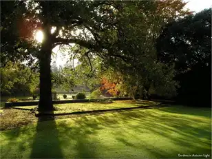 Mourne Park EstateImage 11