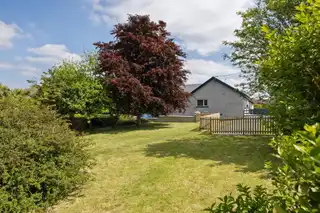 10 Lurgan RoadImage 11